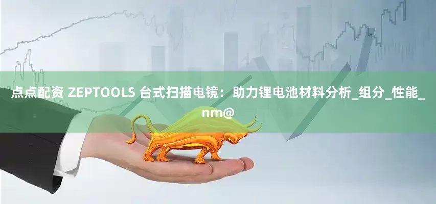 点点配资 ZEPTOOLS 台式扫描电镜：助力锂电池材料分析_组分_性能_nm@